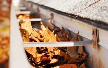 Darley Hillside gutter cleaning companies